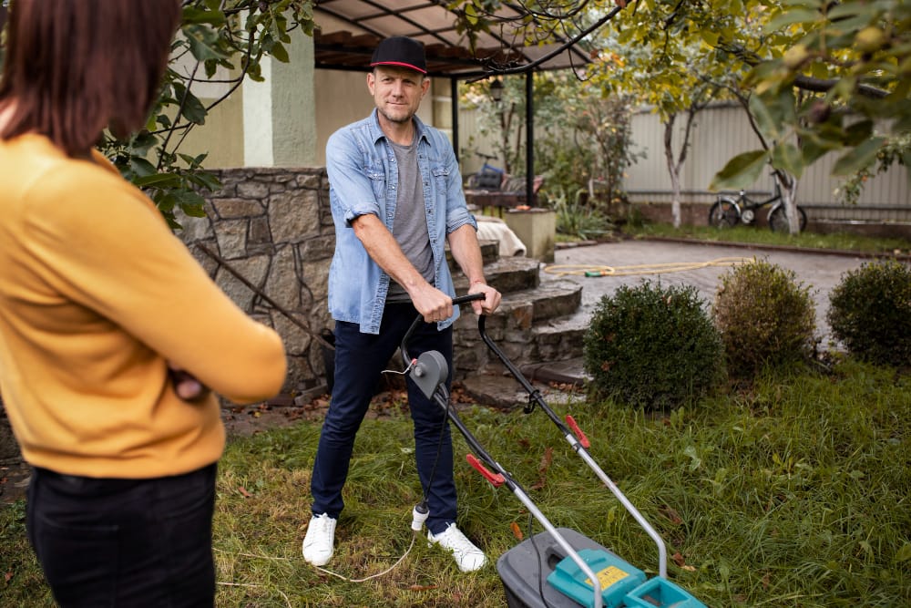 Professional Landscaping